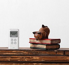 ���� �������� DT-120 SANGEAN