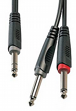 RAYC100L5  PL Stereo - 2 PL Mono 5M