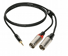RAYC190L5 ��� XLR X 2 - AUX ��� 5 �