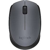���� ������ Logitech M170